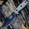 Buy 🛒 ESEE Model 4 Plain Edge 🎁