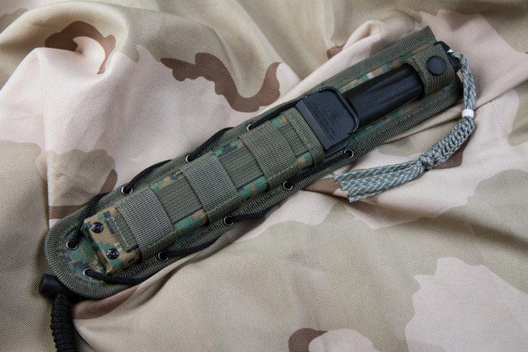 Outlet ๐ Kizlyar Supreme Aggressor D2 DSW โญ - Image 3