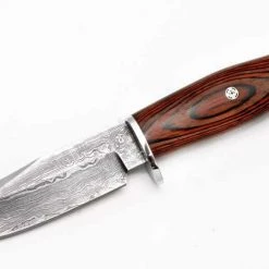 Outlet 🌟 Knife Muela BRACO 11DAMM 😉