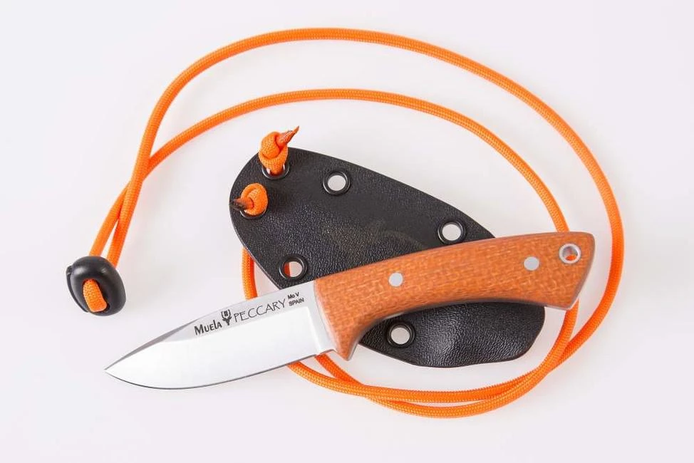 Outlet โ Knife Muela PECCARY 8O ๐ฏ - Image 2