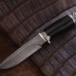 Best deal 🥰 Nord Crown Alabay 🎉