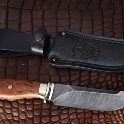 Cheap 🔥 Nord Crown Sekatsch Thuja 👍