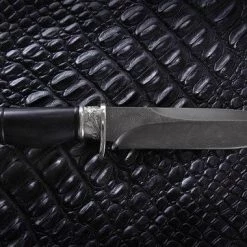 Top 10 ๐ Nord Crown Setter ๐