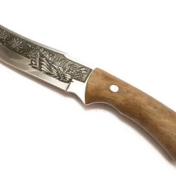 Best deal 🛒 Kizlyar RYBAK 2 🎁