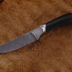 Promo ๐ Nord Crown Hawk โจ